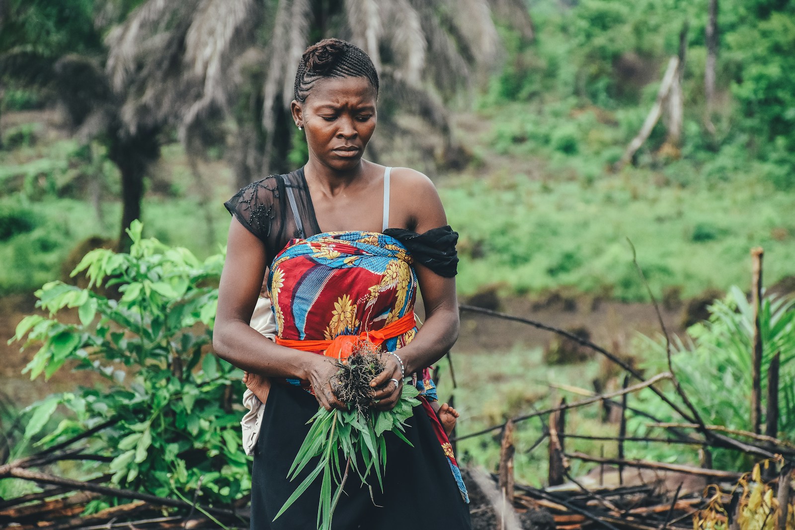 woman carrying green leafed plant in mountain